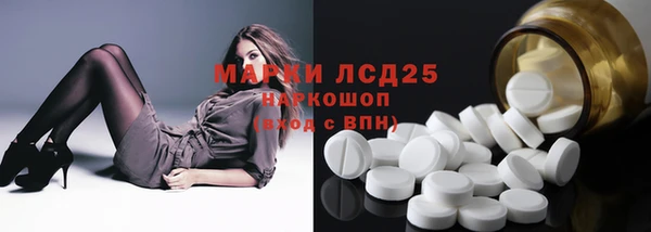 гашик Нефтекумск