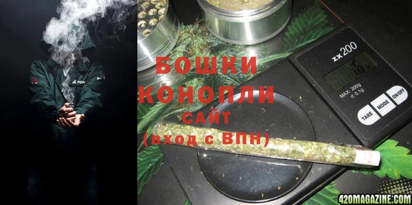 гашик Нефтекумск
