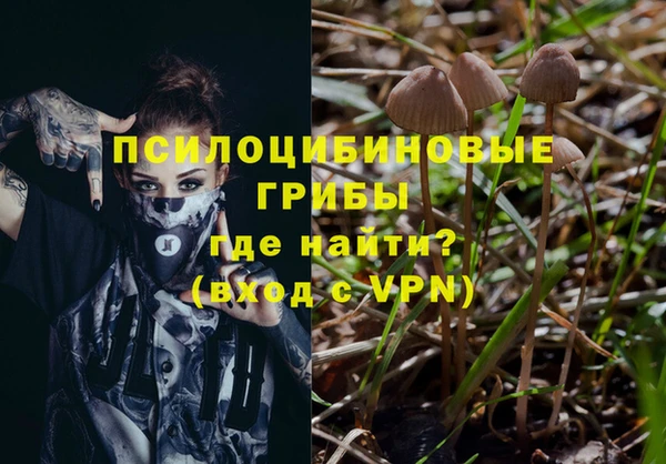 спайс Нея